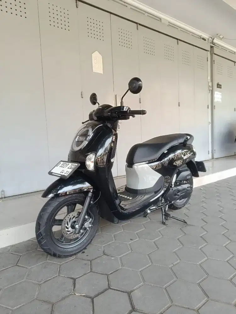 Honda scoopy new fashion 2026
