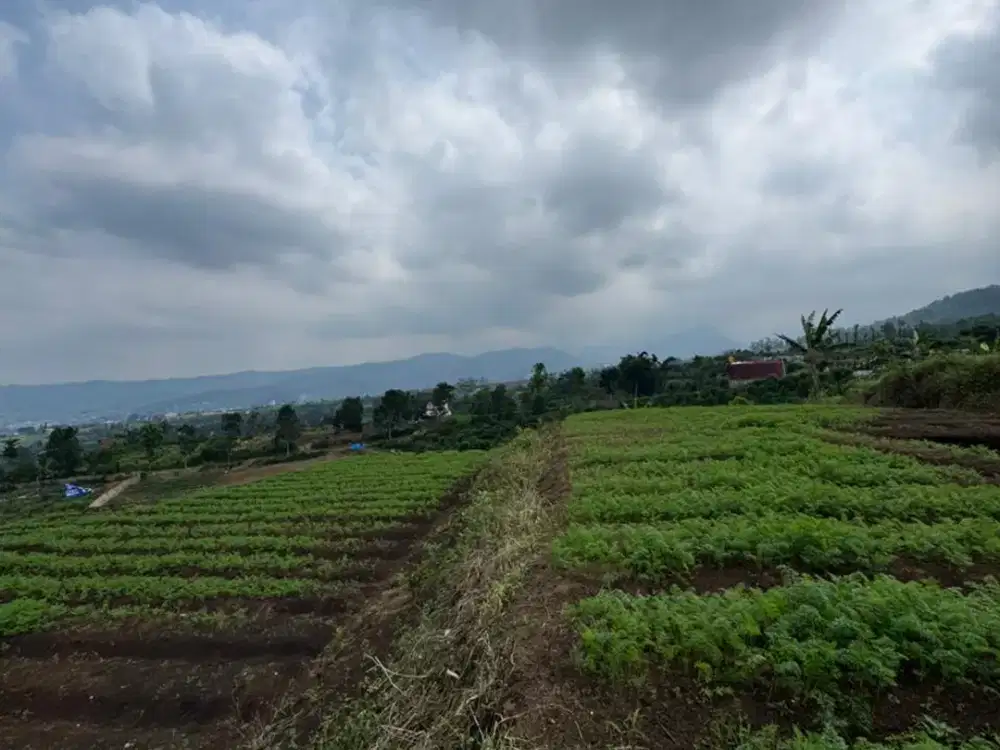 Tanah di Bumiaji Batu Malang  di bukit Jengkoang