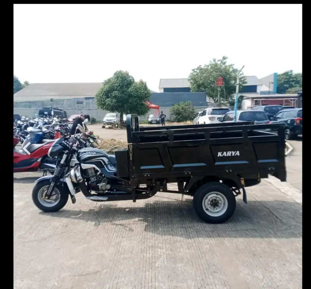 Viar 3 roda cc 300 tahun 2025 warna hitam