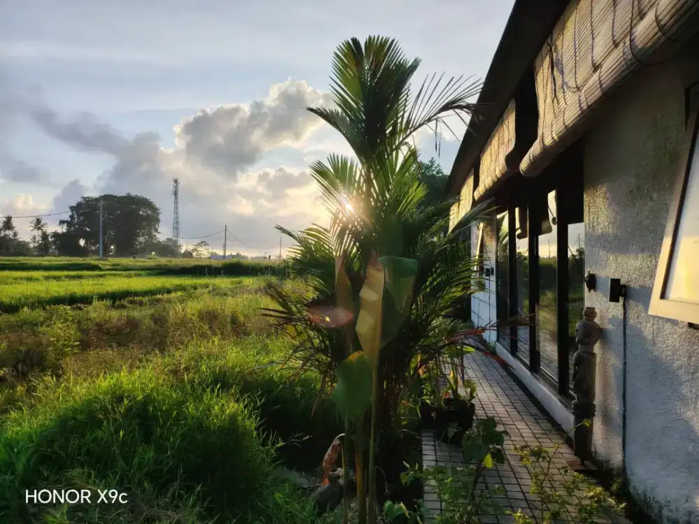 Avalaible
For Rent Villa 1 Villa 2 bedroom Rice Field View