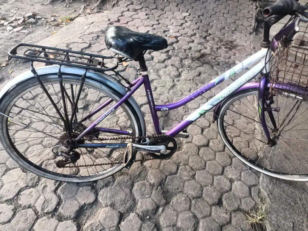 Sepeda Phoenix fashion uk26 rem pakem ban tebal semua