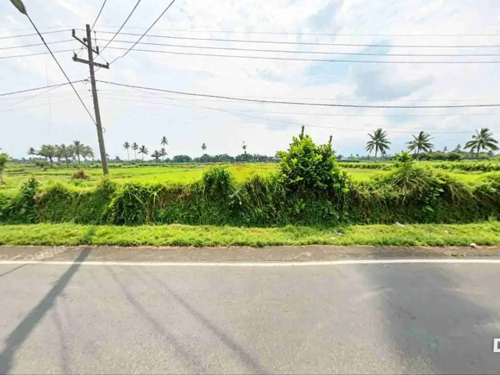 TANAH POROS JALAN RAYA BANJAREJO PAKIS KABUPATEN MALANG