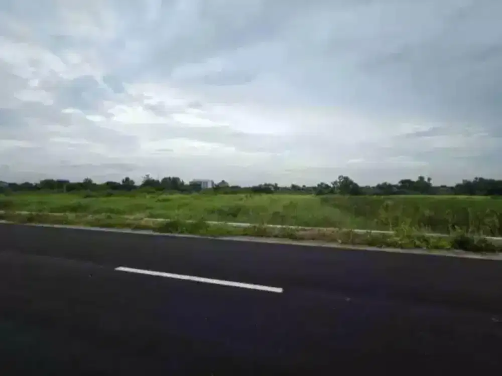 Dijual Tanah Zona Industri Lokasi Wonosari,Klaten Luas 9514m2