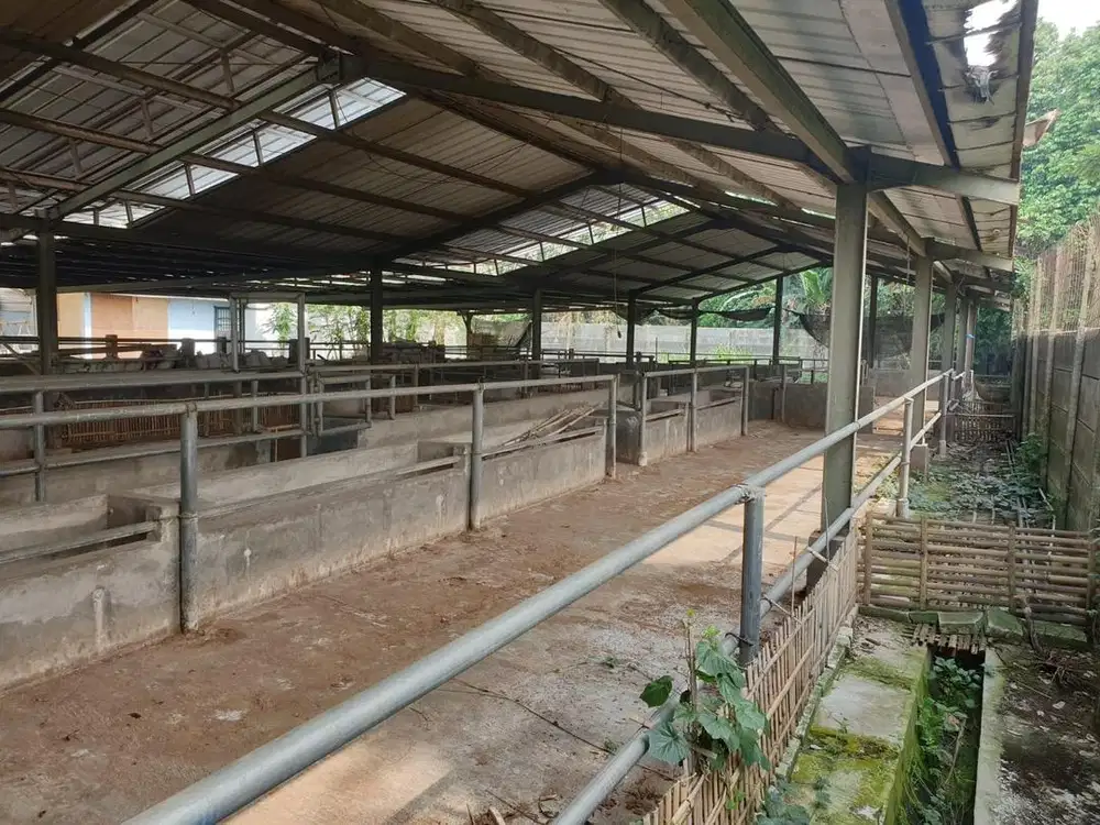Tanah Kandang Sapi