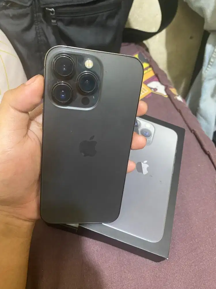 13 pro 256gb ex ibox