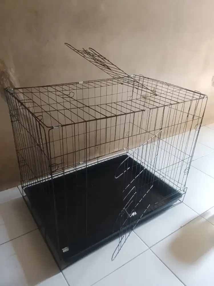 Kandang kucing ukuran 60x42x50
