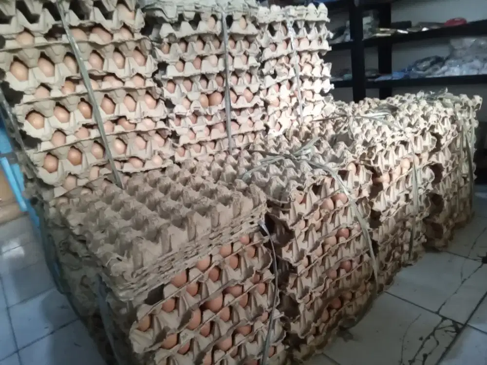 Jual Telor Fresh lokal bandung per ikat 10 dan 15 kg