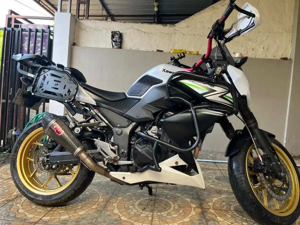 Kawasaki Z250 Tahun 2014