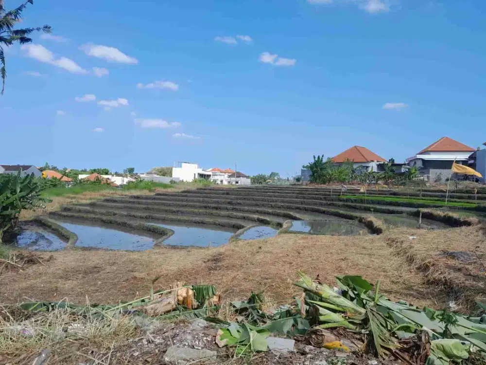 tanah komersil kayutulang