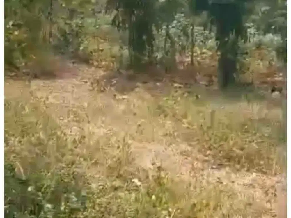 Dijual tanah darat rata di Subang
