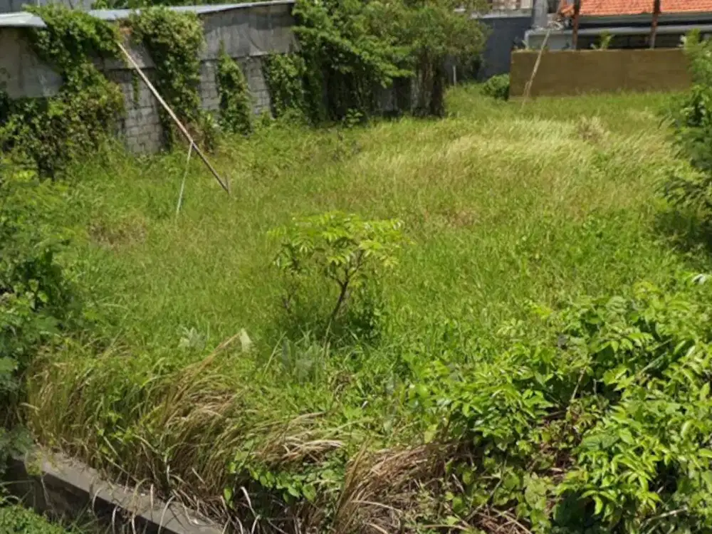 Dijual Kavling Kecil Canggu Bali Cocok untuk Investasi
