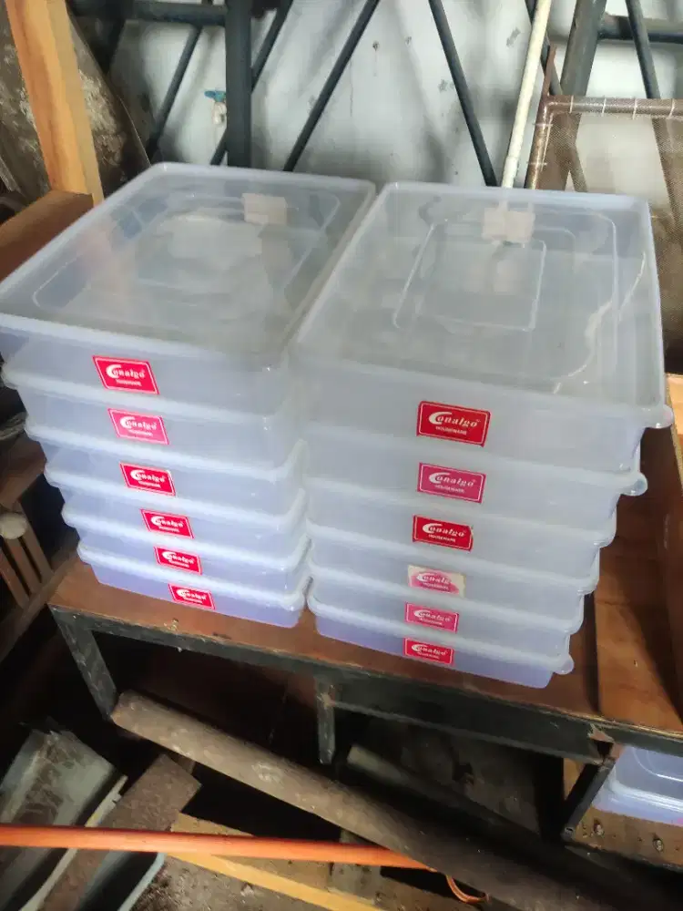 Kotak donat plastik conalgo (wadah penyimpanan)