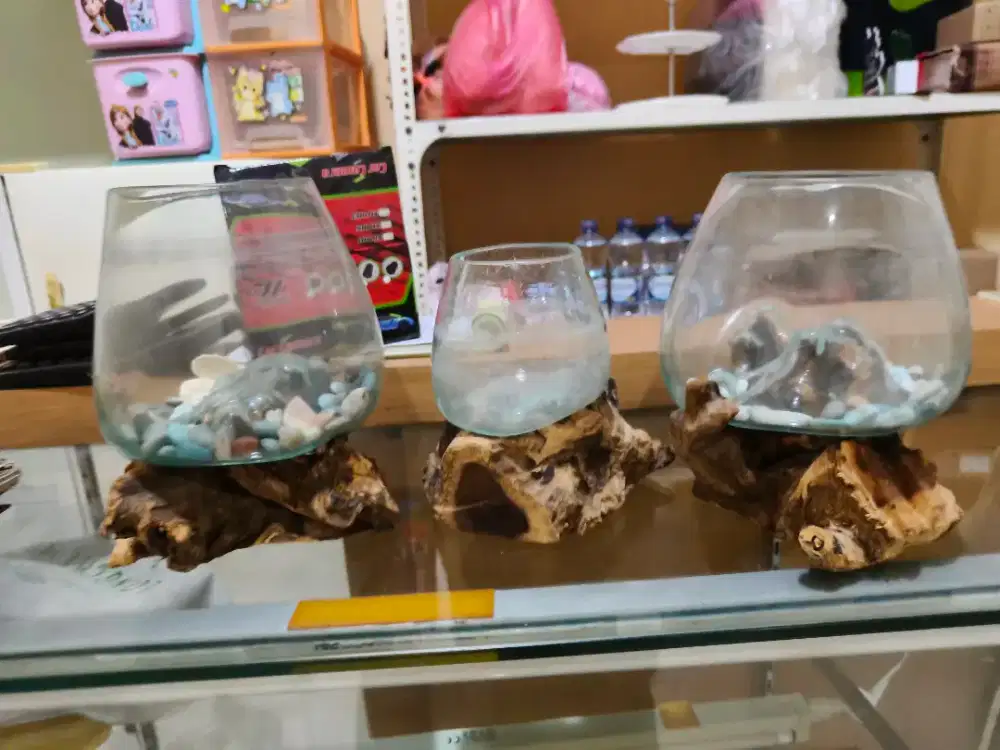 Aquarium estetik