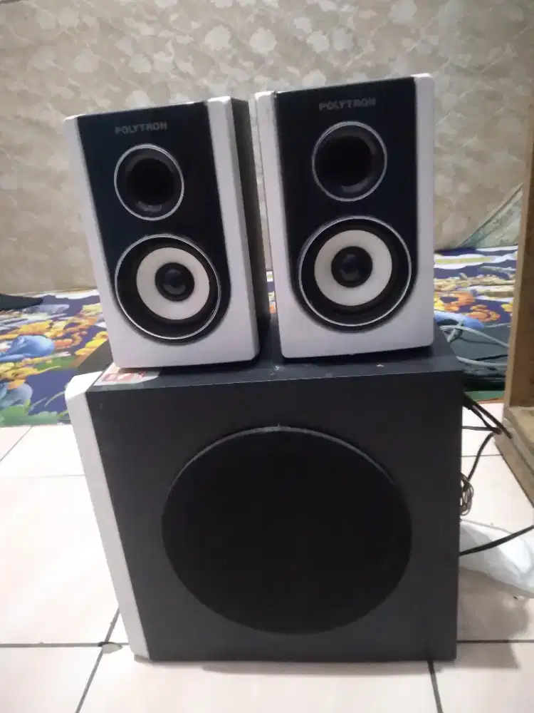 Polytron speaker