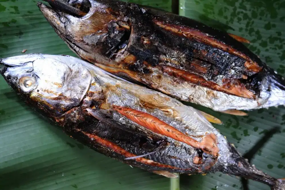 Ikan Asap cakalang