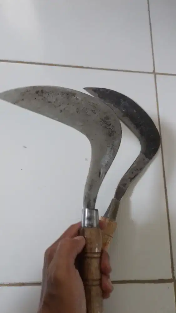 Pemotong rumput