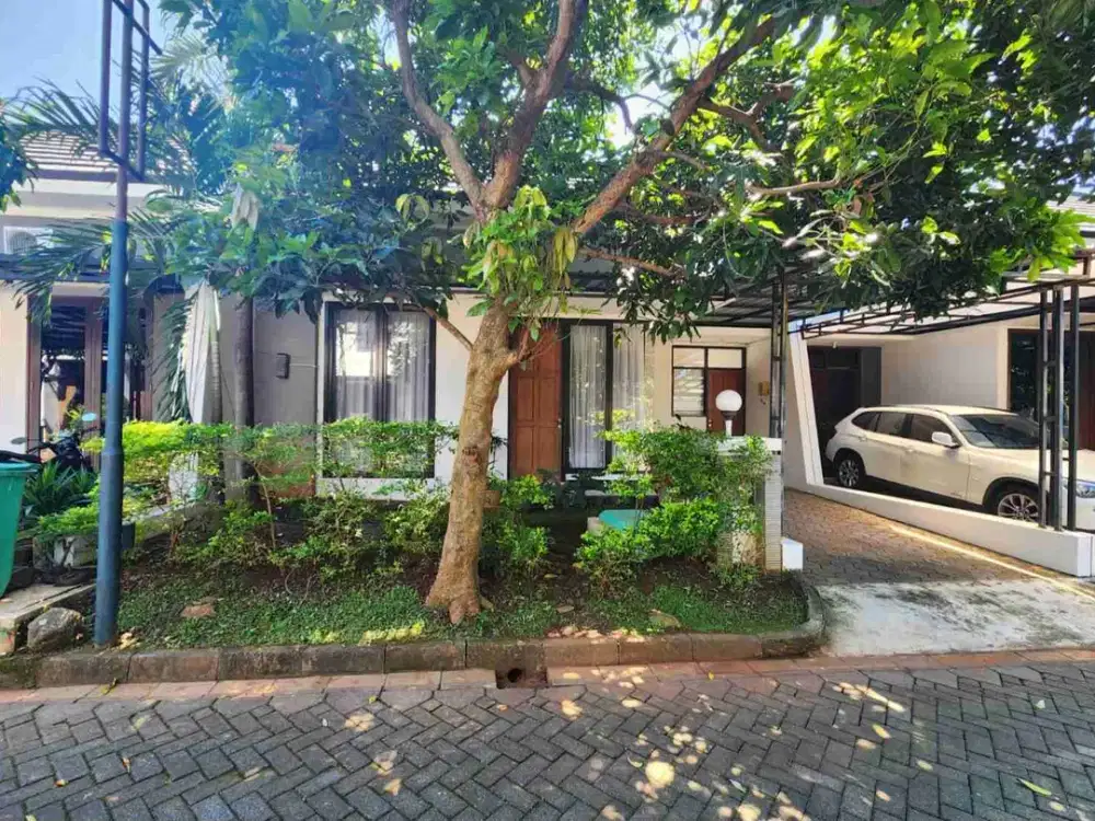Dekat UNDIP, Graha Estetika Siap Huni