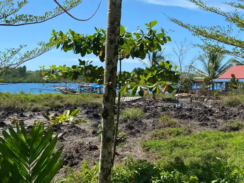 Dijual Tanah Pantai di Nias Utara