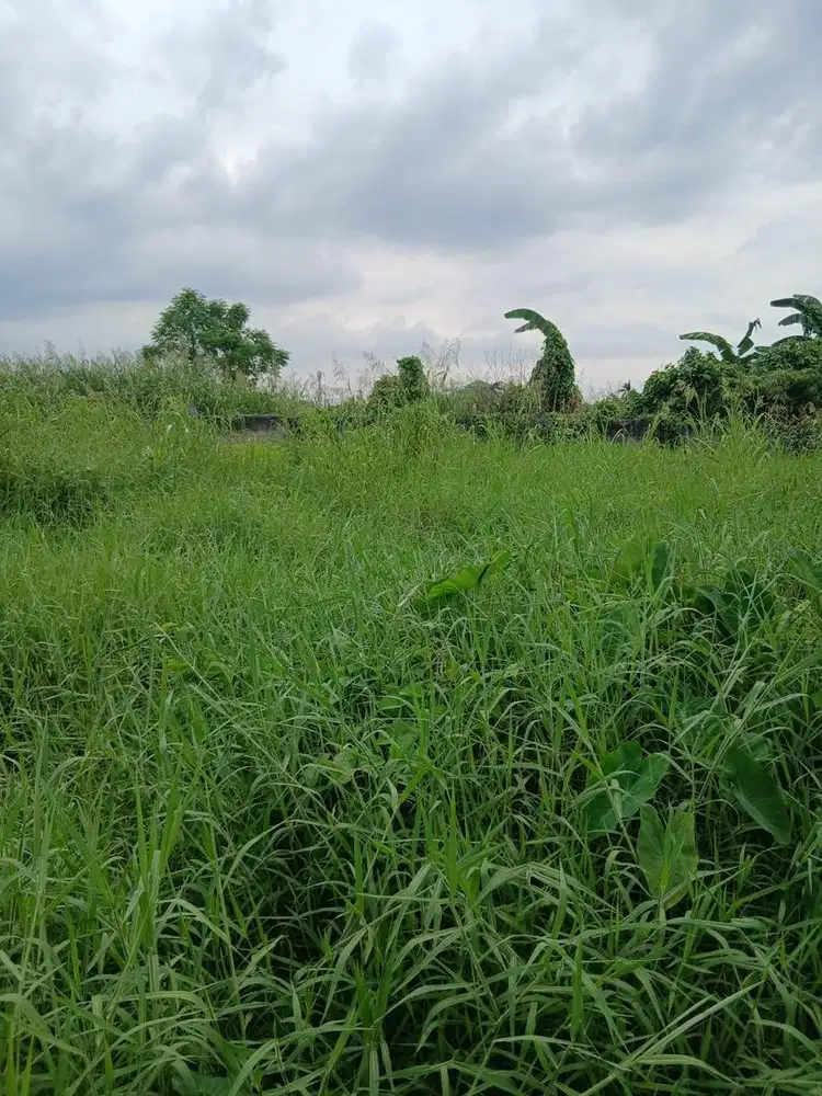 Jual kavlingan /tapak rumah