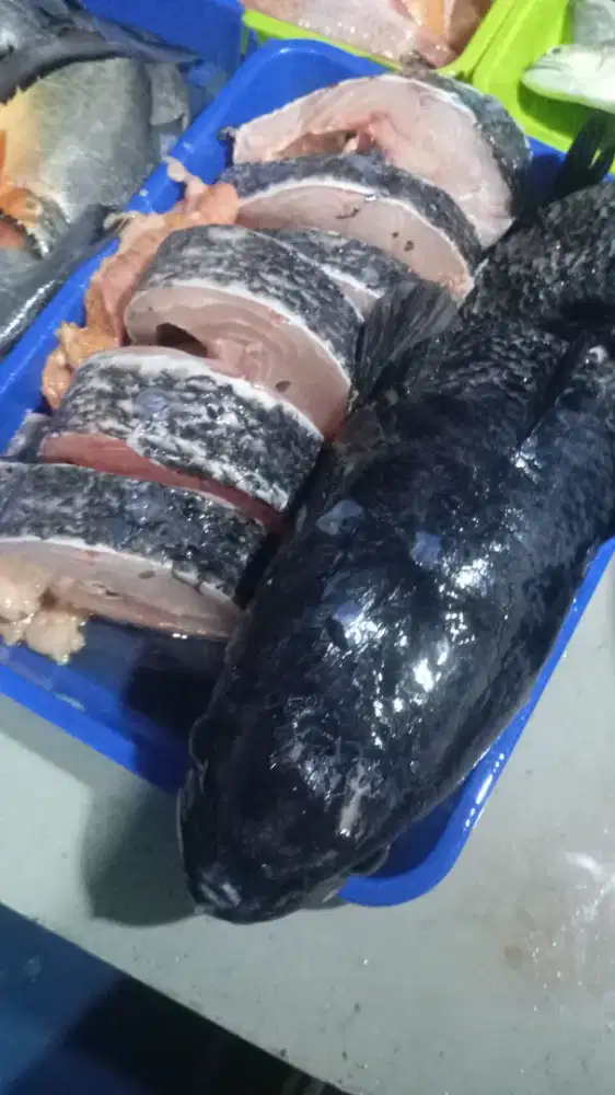 Cari pkrjaan paruh waktu
