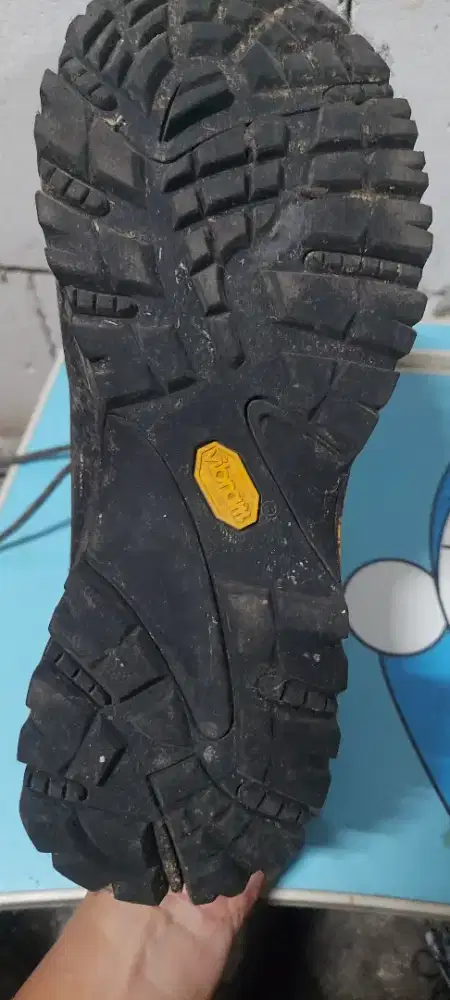 Sepatu eiger original