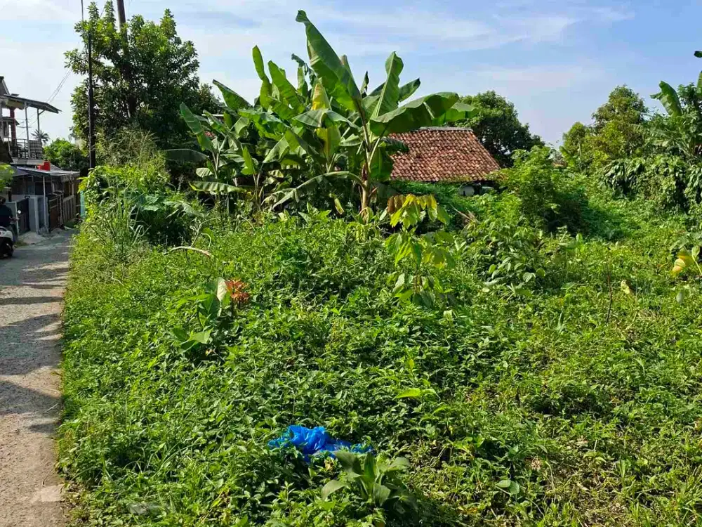 Di jual tanah Darat.sangat cocok untuk Rumah tinggal dan kos kosan