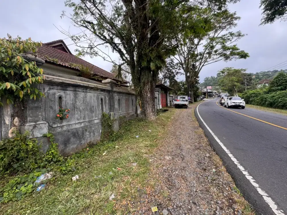 DIJUAL TANAH STRATEGIS Jl. Raya Baturiti – Jalur Utama Bedugul