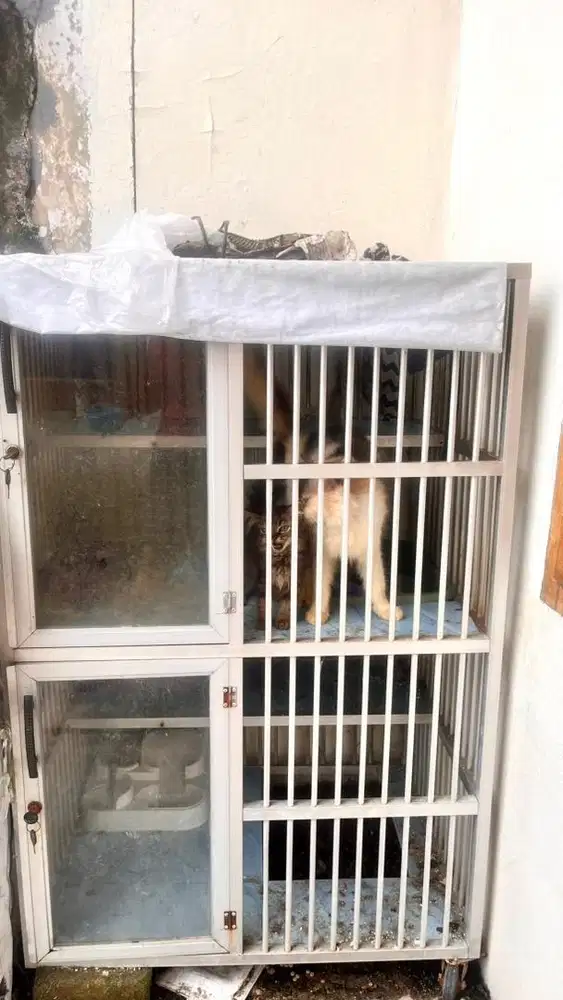 Kandang Kucing Alumunium 2 Tingkat
