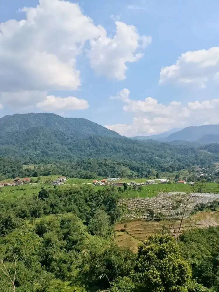 Pencari pekerjaan