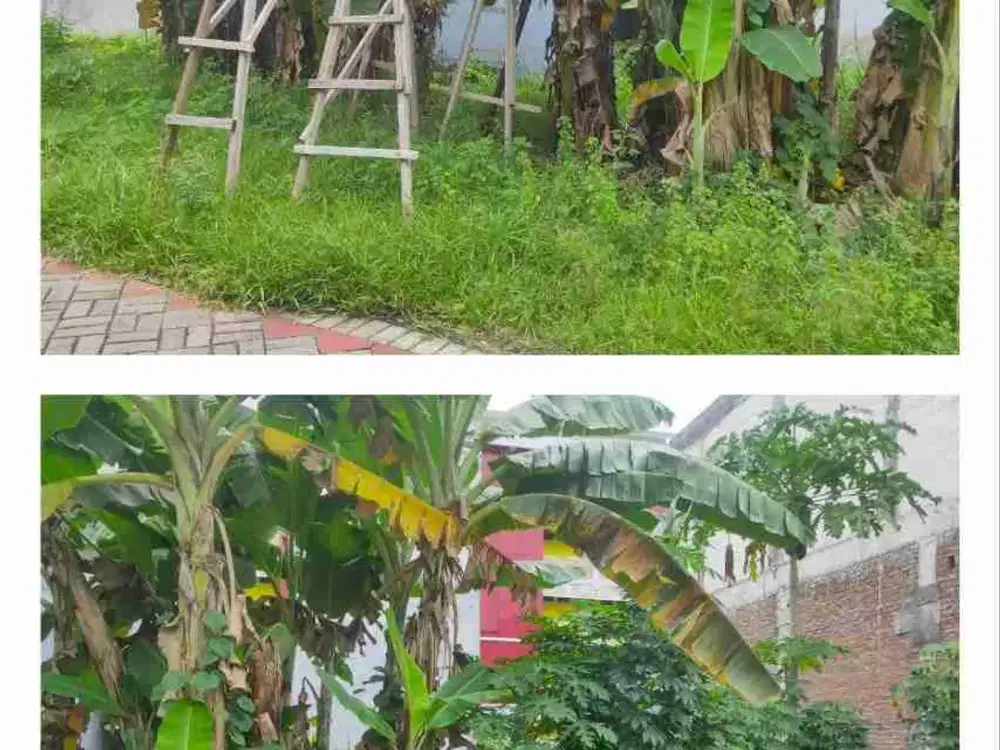 Jambangan Surabaya | Jual Tanah Kavling 72 m² dekat Kebonsari Karah Ketintang Rolak Tol Gunungsari