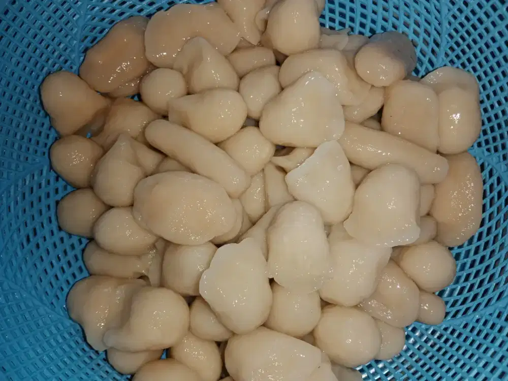 Pempek dos 4/5rb