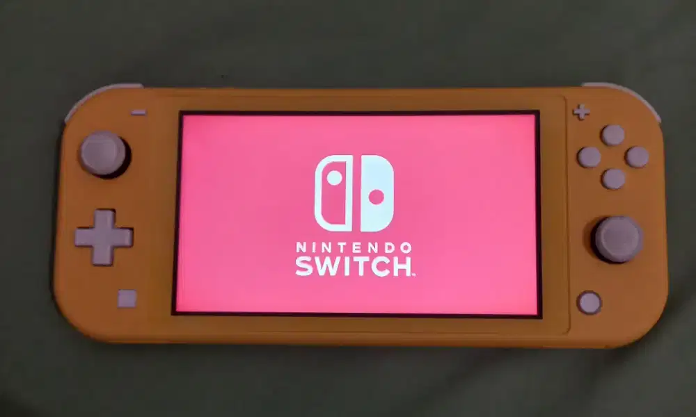 nintendo switch lite