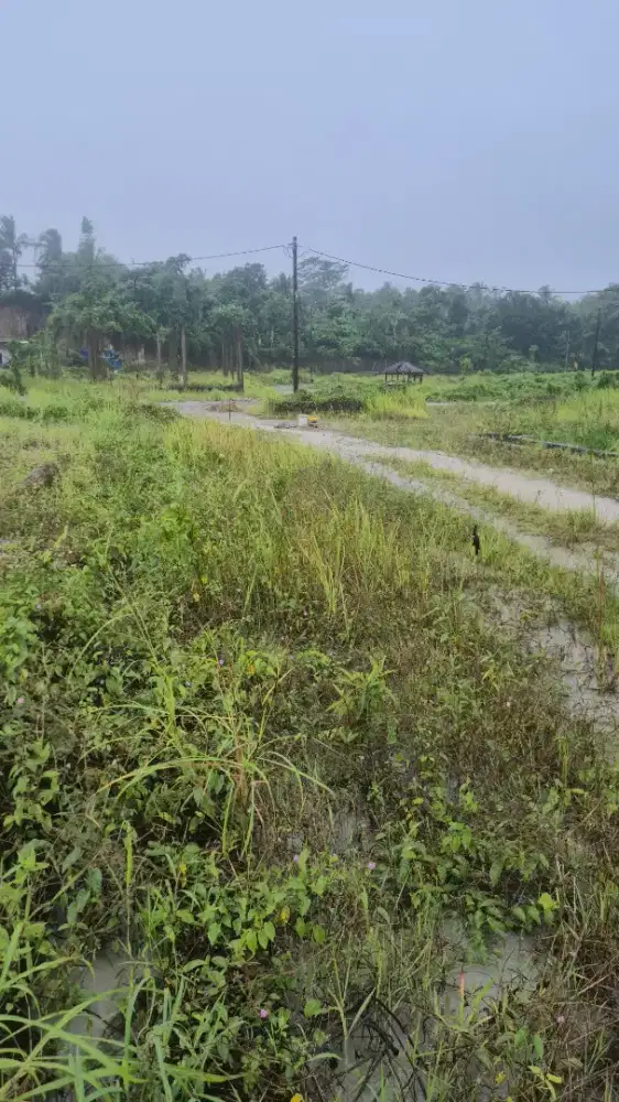 KAVLING KOTA SERANG KAVLING TUBAGUS DEKAT UNTIRTA SERANG