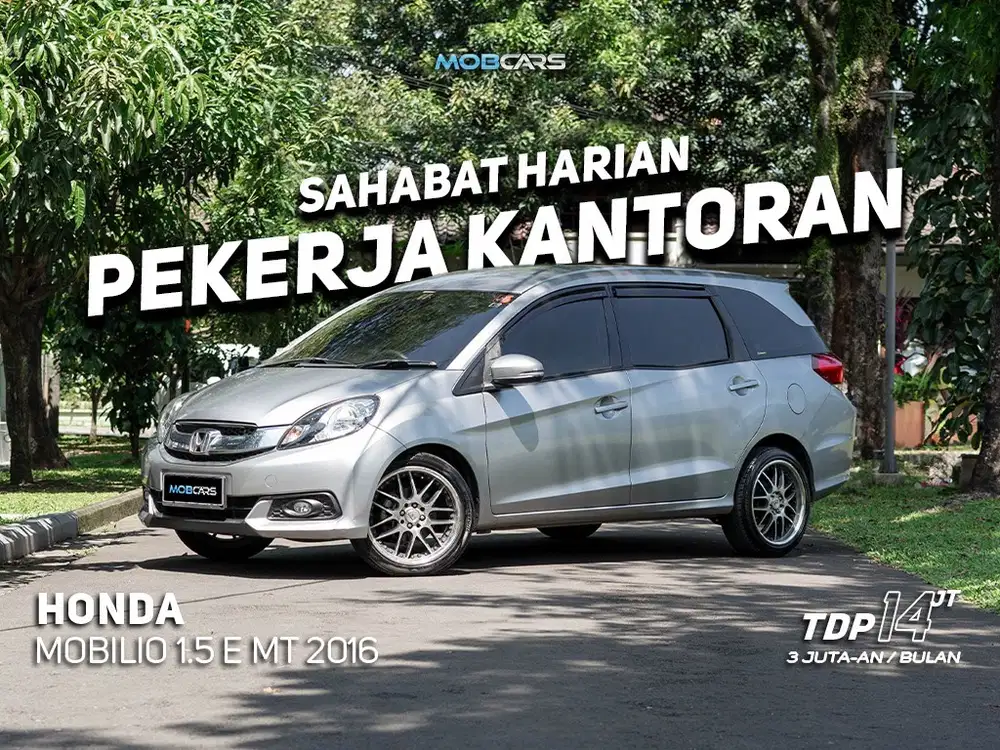 FREE DETAILING POLES 2 TH MOBILIO E 1.5 MT 2016 SILVER
