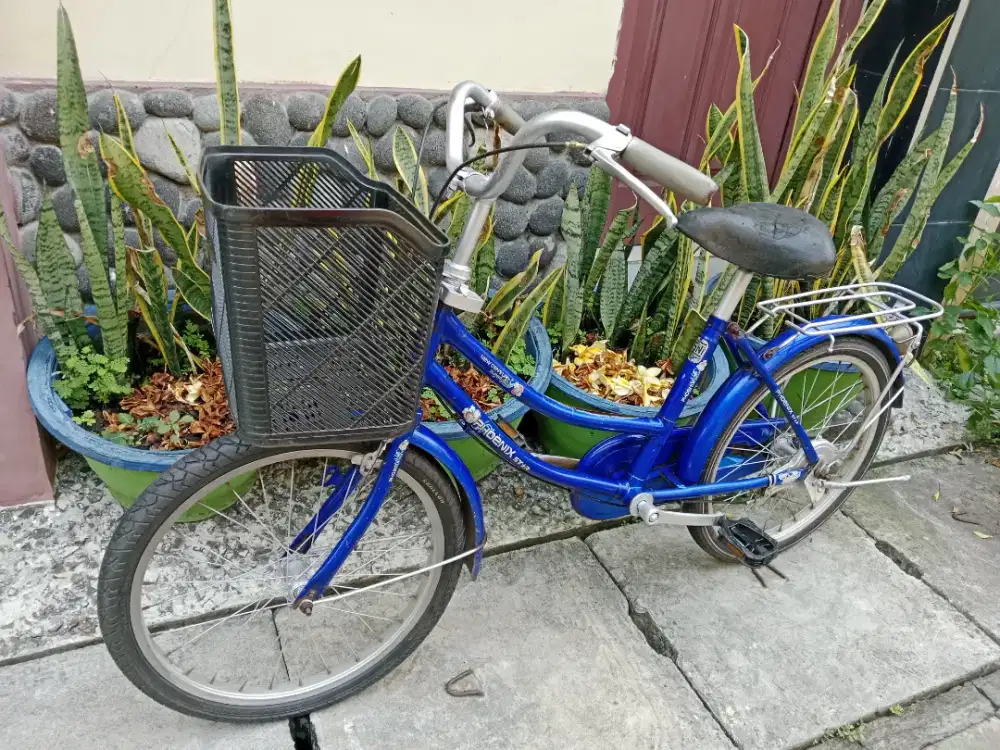 Sepeda phoenix warna biru