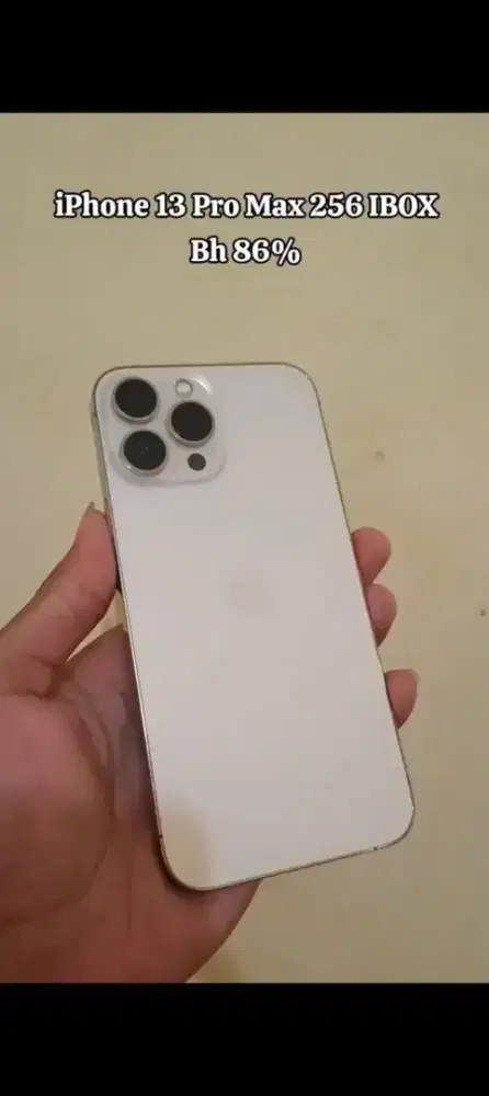 iPhone 13 promax