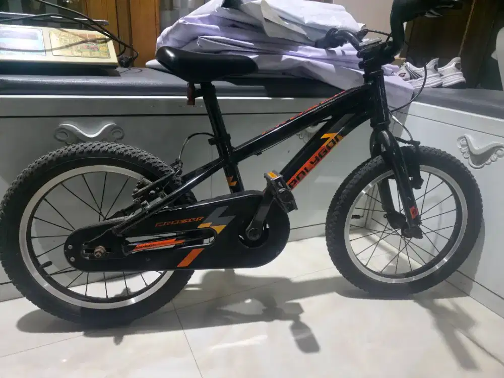Sepeda Anak Polygon