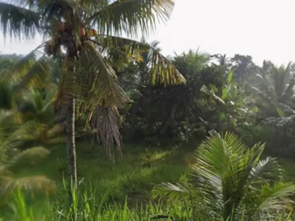 Lokasi Terdepan Dijual Kavling Kerobokan Siap Bangun Strategis