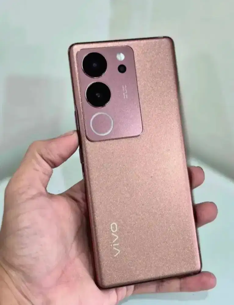 Vivo v29 59 8/256 hp casan