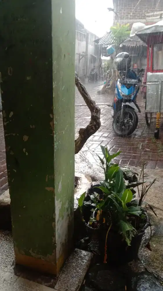 Jasa antar jemput sekolah atau kerja dan kurir