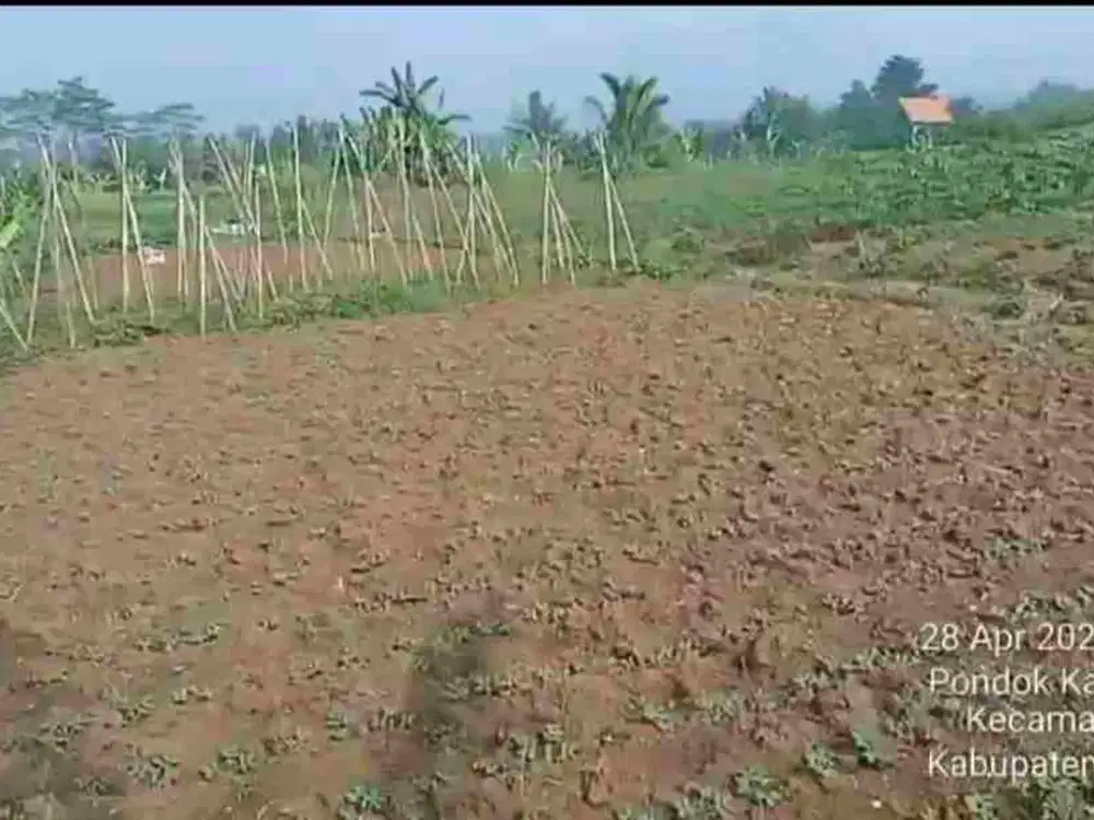 Di jual tanah sangat cocok untuk pertanian dan ivestasi masa depan