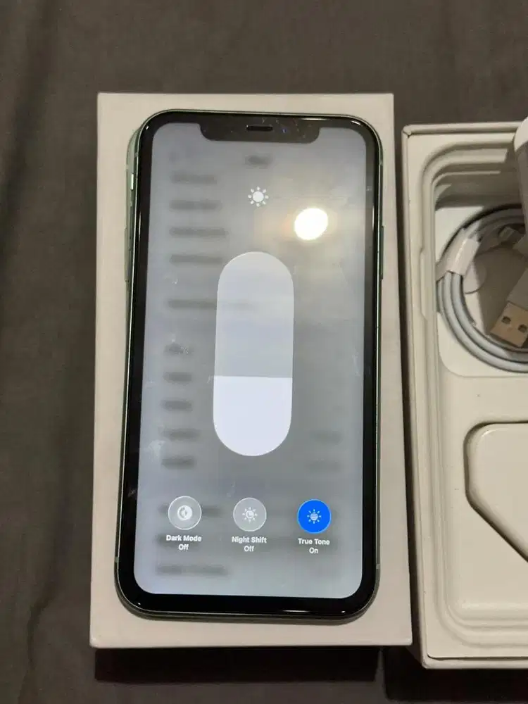 Iphone 11 Green 128GB Terdaftar Lengkap
