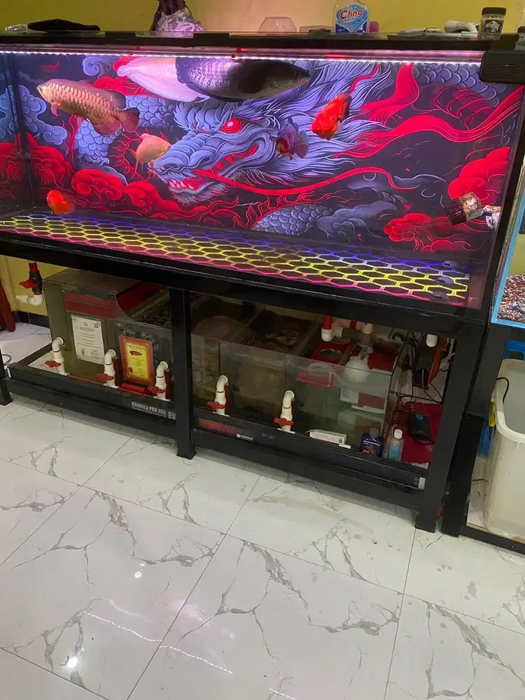 Aquarium fullset + ikan