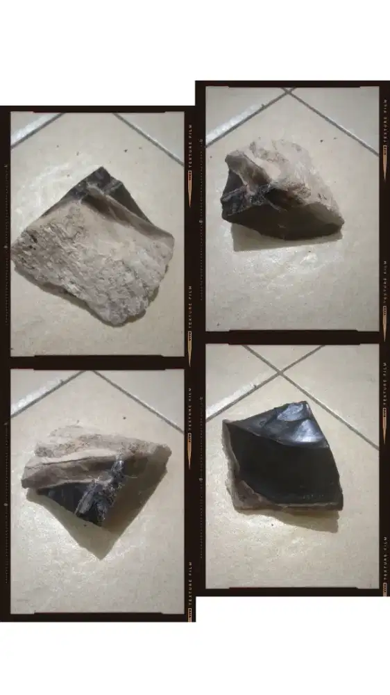 Bongkahan galih batu Kelor