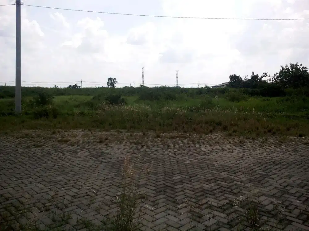 PRINGGODANI PERMAI