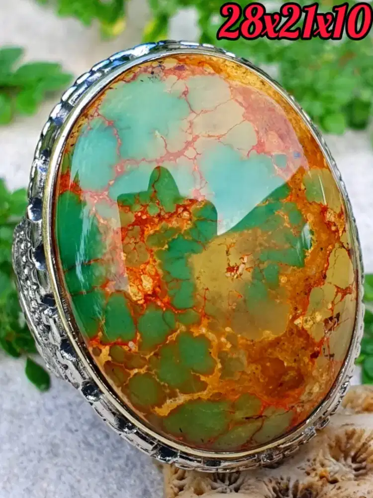 Pirus Persia Urat Emas indah Mewah