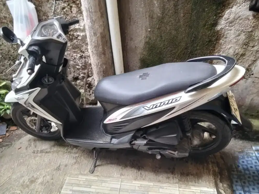 vario agnes 2014