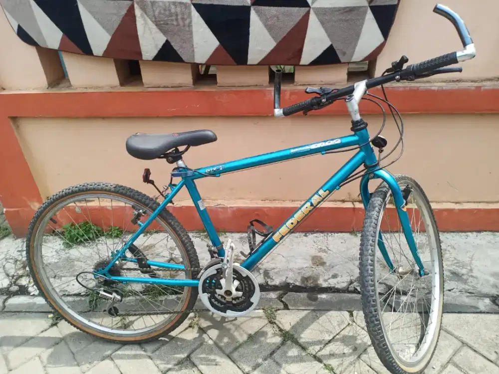Vintage federal city cat 2000