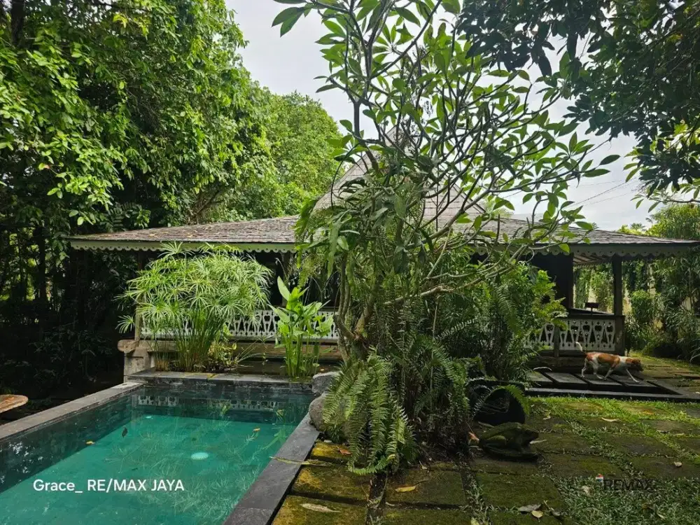Tanah Premium 6,58 Are Bonus Villa Dijual, di Pererenan Area