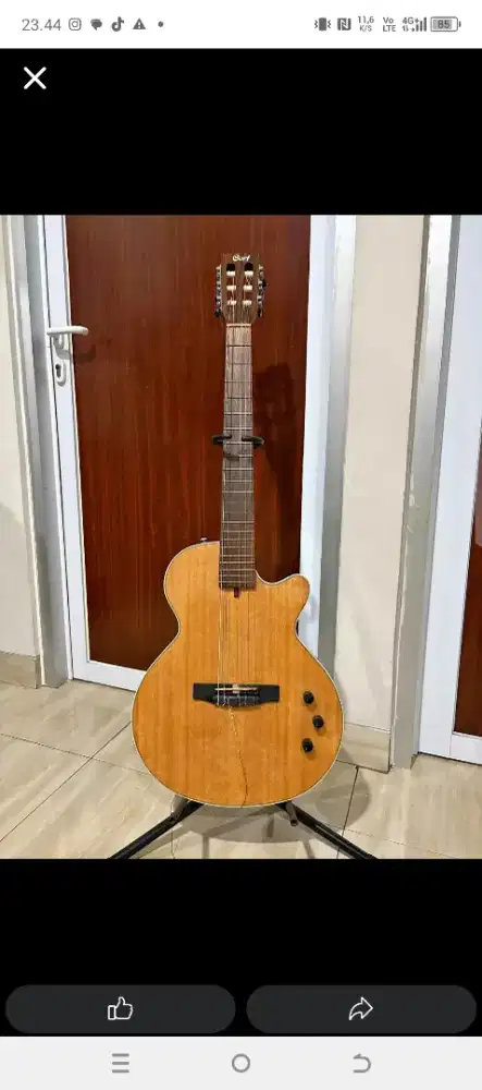Gitar Cort Nylectric
